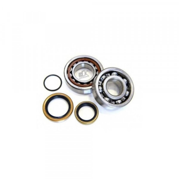 Kit Rolamento E Retentores Do Virabrequim 2T Gasgas/Ktm/Husqvarna/Husaberg - 54830018488/00050002301